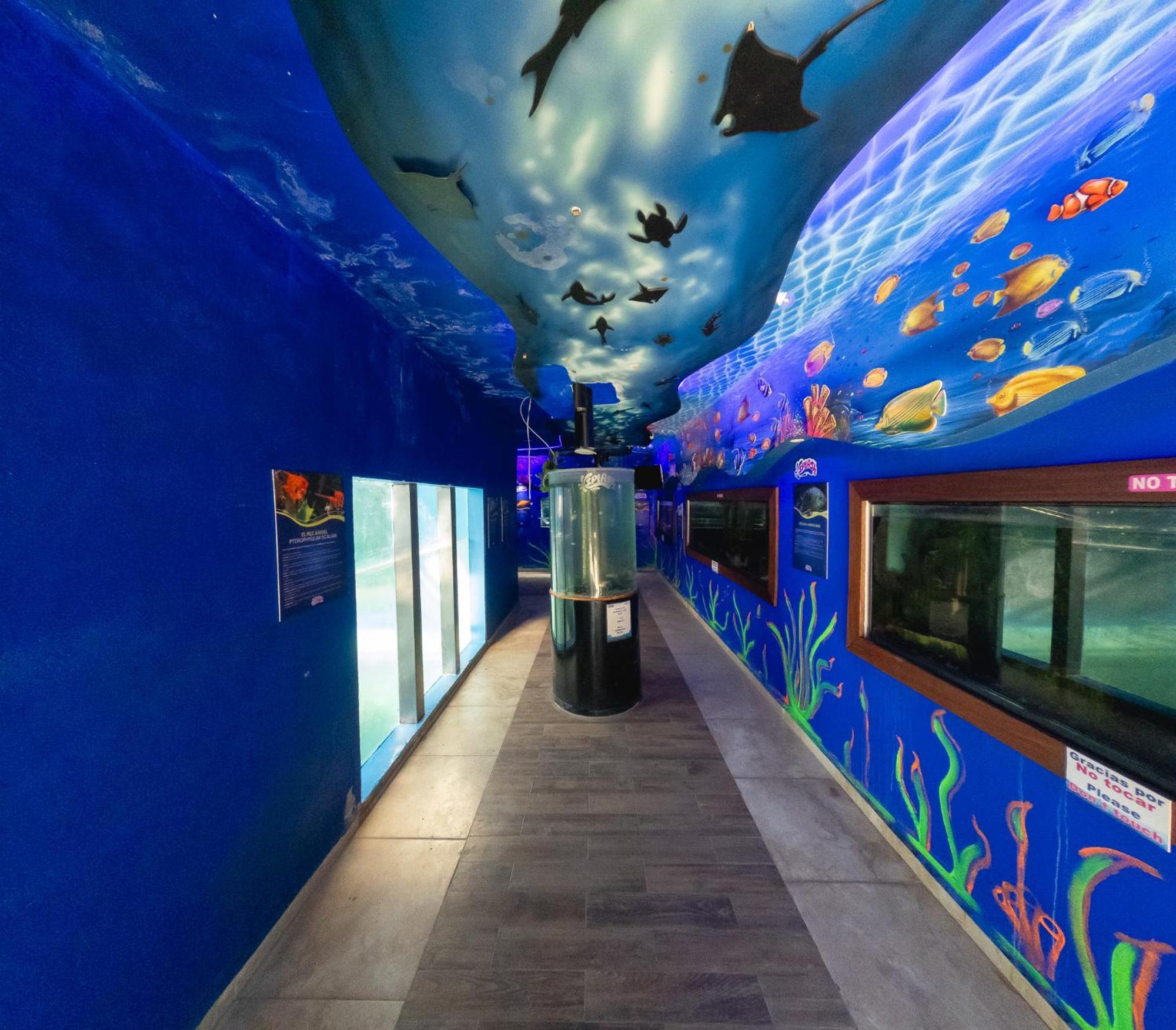 Splash Inn Nuevo Vallarta & Parque Acuatico Dış mekan fotoğraf
