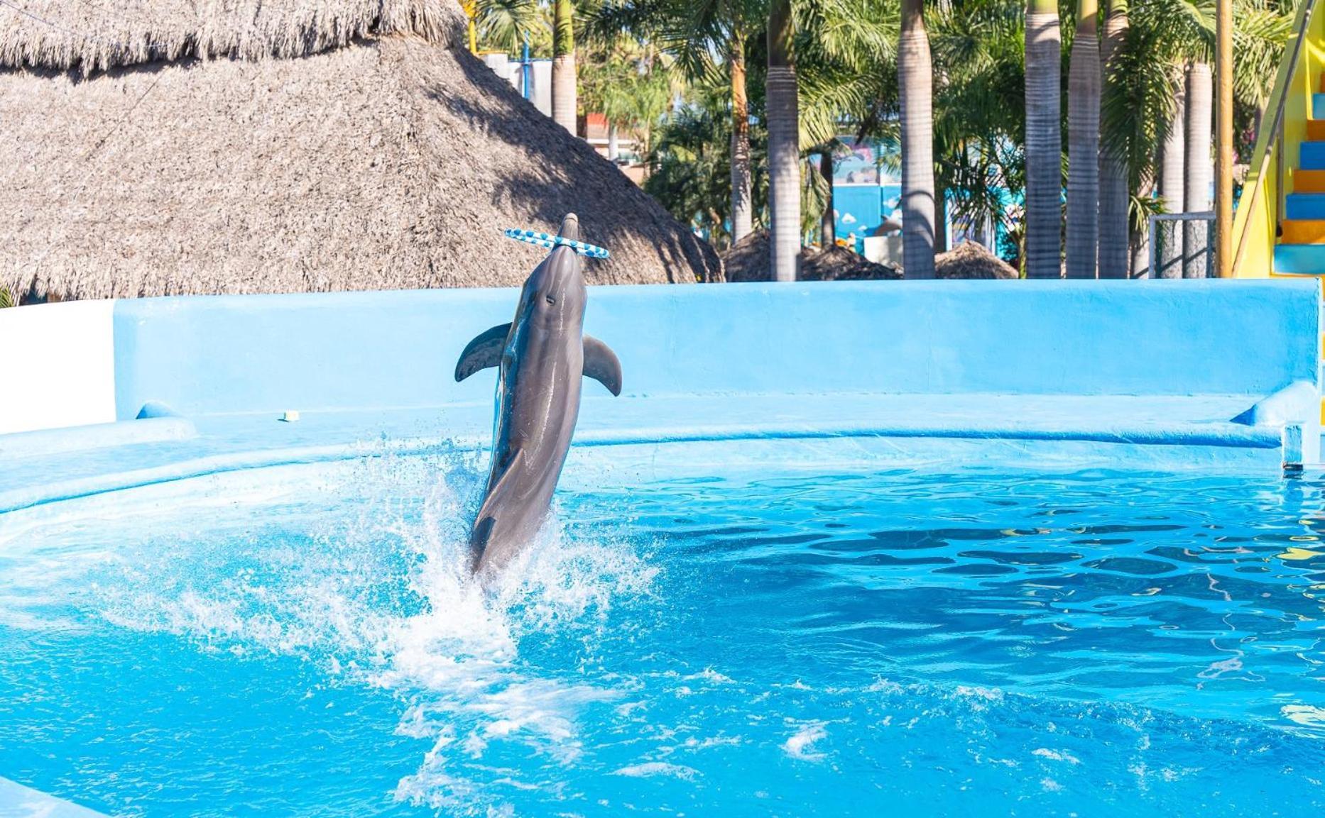 Splash Inn Nuevo Vallarta & Parque Acuatico Dış mekan fotoğraf