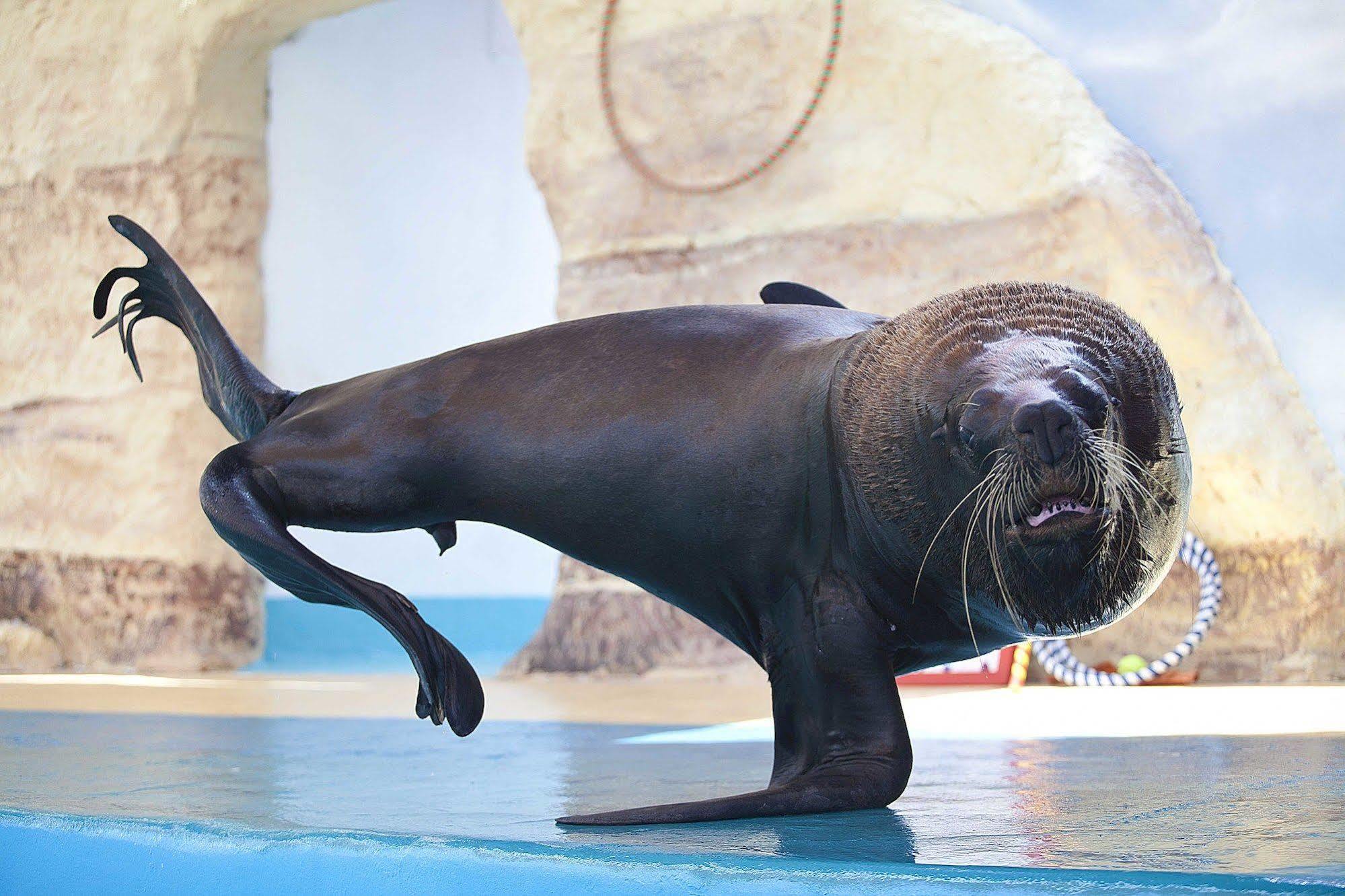 Splash Inn Nuevo Vallarta & Parque Acuatico Dış mekan fotoğraf